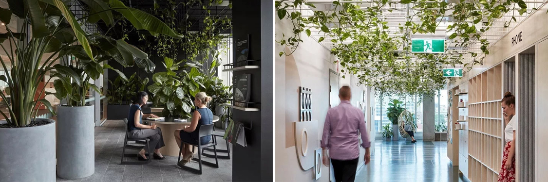 广州装修设计公司